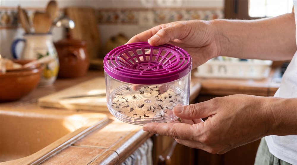 Deposito extraido con mosquitos dentro